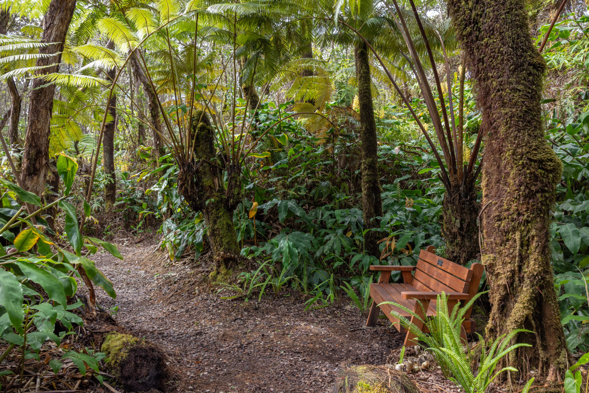 Nature Trail